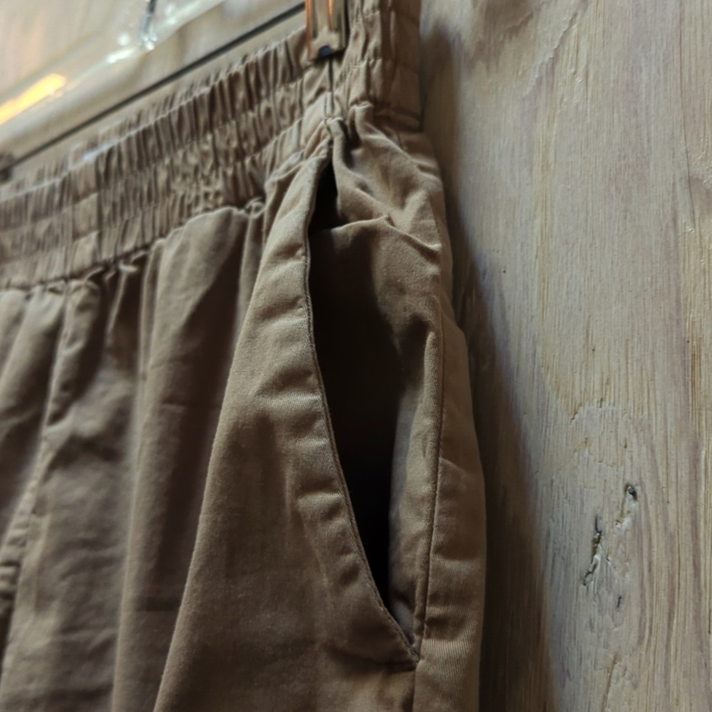 Everlane The Easy Pull On Brown Chino Pant - Picture 6 of 7